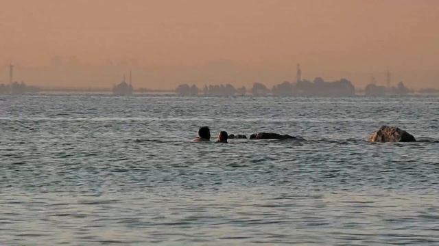 Обское море, побережье, вечерняя вело-прогулка. Бердск 26 июля 2023 год смотреть онлайн