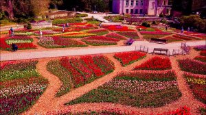 Крым 2023 - БАЛ ХРИЗАНТЕМ. Обалдел от этого места. Стоит ли посещать? Показываю ВСЮ ПРАВДУ.