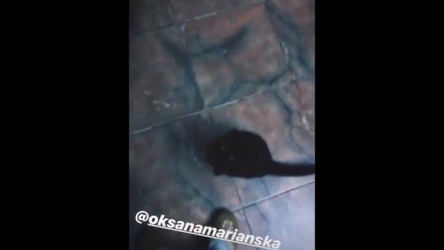 Лена Баранова в сторис 17 12 2018 Грустно смотреть онлайн