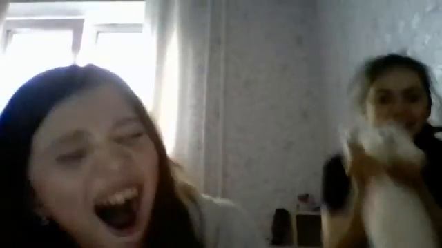 моя кошка меня поцарапала смотреть онлайн