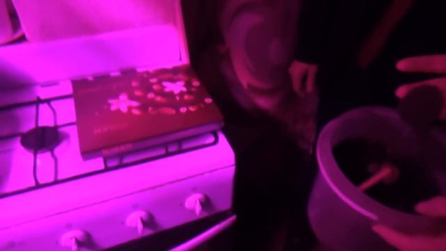 30 31 декабря, подарки, готовимся к НГ, Шаповаловы влог смотреть онлайн