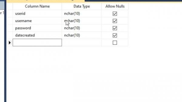Microsoft SQL Server Basics