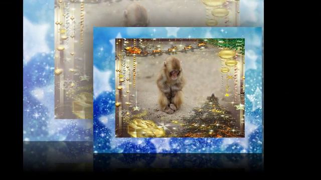 Новый год Обезьянки Круто! смотреть онлайн