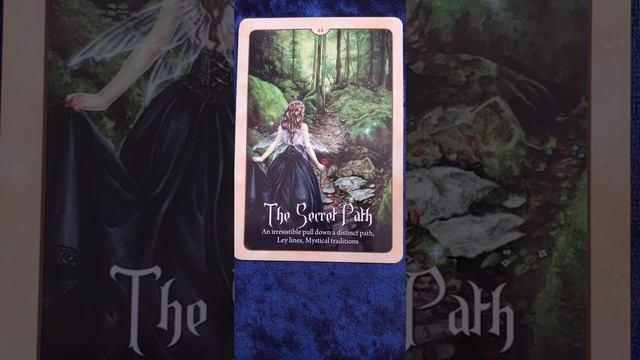The Secret Path ? Wild Wisdom of the Faery Oracle card meaning смотреть онлайн