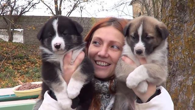 Наталья Пушистики смотреть онлайн