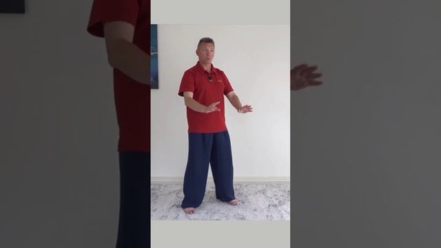 Как успокоиться за 1-2 минуты. Простая практика цигун и тайцзи смотреть онлайн