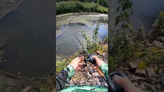 whopper plopper of frogs! throw or not? Booyah Toad Runner смотреть онлайн