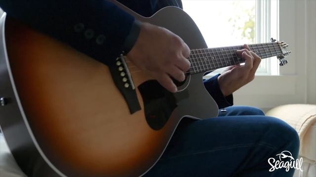 Demoing the Seagull Entourage Autumn Burst CH CW AE смотреть онлайн