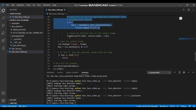 Blur and Anonymize Faces with Opencv and Python смотреть онлайн