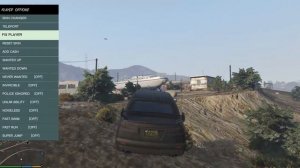 Native trainer для GTA 5 (Обзор модов для GTA 5)