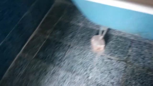 Азербайджан. г.Сумгаит смотреть онлайн