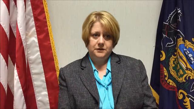 New Counselor Training - Denise Verchimak смотреть онлайн