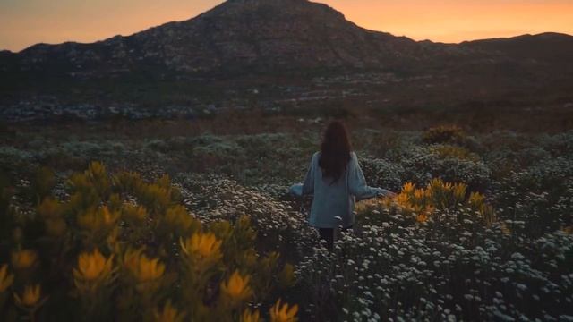 Васильковая Русь .Красивая песня. для позитива. смотреть онлайн