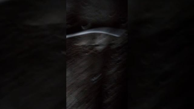 Заброшенный детский сад смотреть онлайн