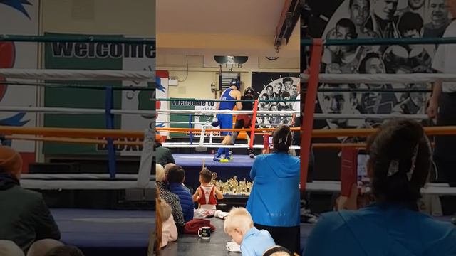McGregor knocked down in sparring for cerrone fight смотреть онлайн