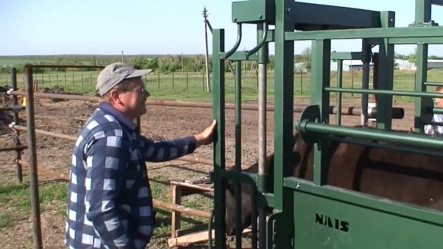 Весы для взвешивания животных 