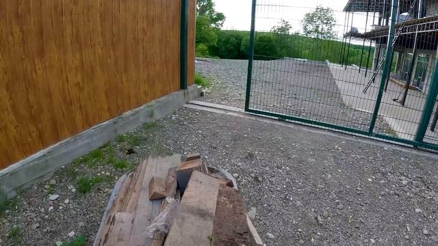 Переделал вольеры !! Волки зашли к питбулям !! Потеряшка волчонок Аяврик 2 ждем новостей из Армавир смотреть онлайн