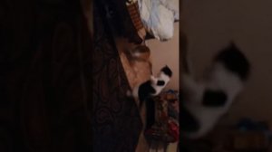 Муж бьет жену.