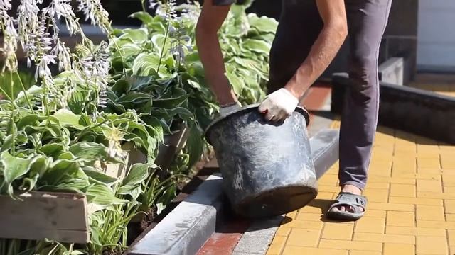 Устройство по мощению брусчатки смотреть онлайн