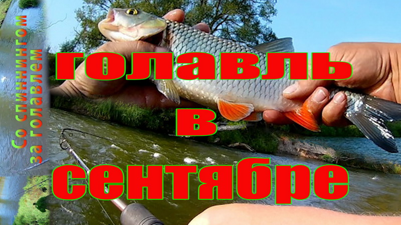 Голавль на перекате в сентябре.Рыбалка на спиннинг. смотреть онлайн