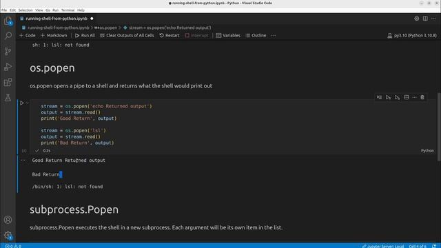 Execute Bash Commands from Python смотреть онлайн