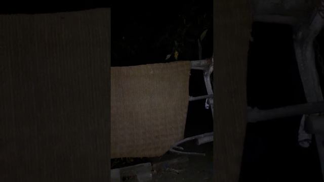 Социальный контракт лохотрон для малоимущих смотреть онлайн