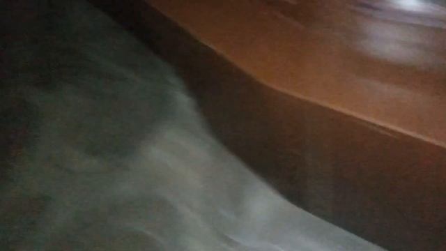 что мои кошки делают в 12 часов ночи?? смотреть онлайн