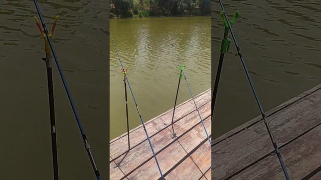 #рыбалка# я её очень люблю кто хочет научится ловить рыбу пишите в комментариях смотреть онлайн