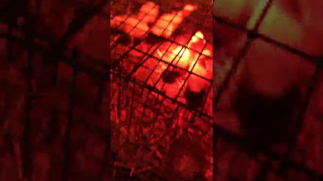 Гусята, порода «Линда» ! Двухнедельные ! Чем кормить’’ смотреть онлайн