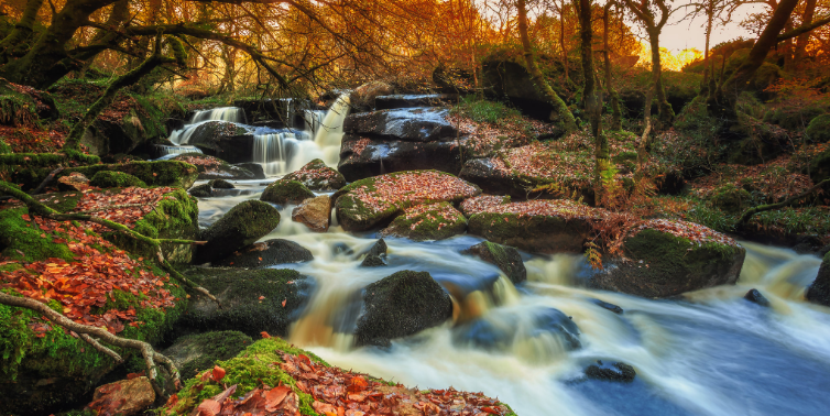Речные каскады - Расслабляющие звуки водопада и видео природы Ultra HD ✦ Звуки Леса И Пение Птиц смотреть онлайн