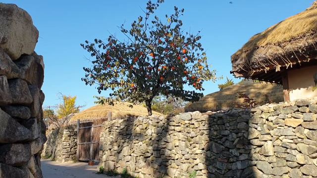 Седьмой дом в Водолее смотреть онлайн