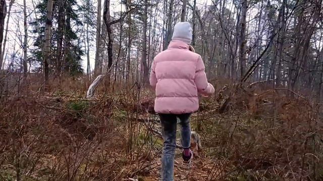 24 октября 2020. Дивногорская видовка смотреть онлайн