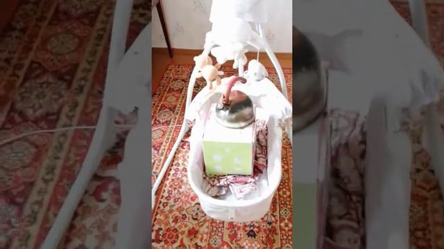 Укачивающий центр (люлька, колыбель) Lionelo Henny Beige 5 смотреть онлайн