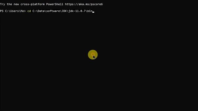Download and Use JDK 11 with IntelliJ смотреть онлайн
