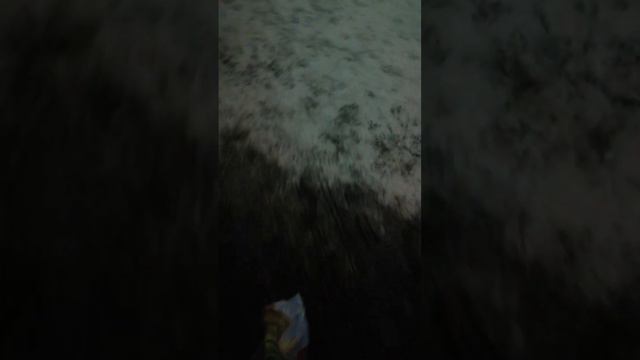 Смоленск перекус и едим дальше всем спасибо кто был с нами! 888 смотреть онлайн