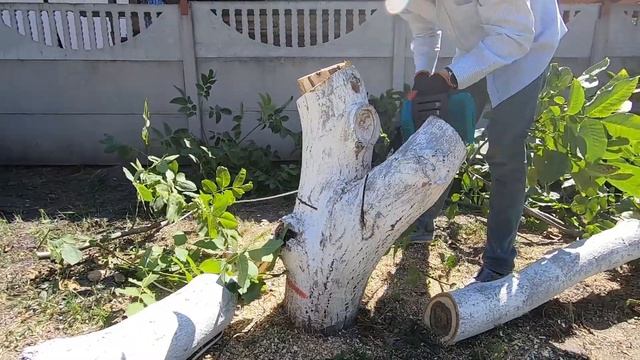 Рубим деревья на старой даче. Сломали пилу! смотреть онлайн