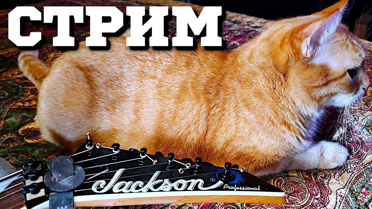 Стрим. Приводим в порядок Jackson DX1 Dinky смотреть онлайн