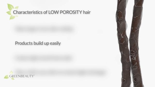 Is Your Hair LOW POROSITY? How To Know + Care Tips (Part 1)