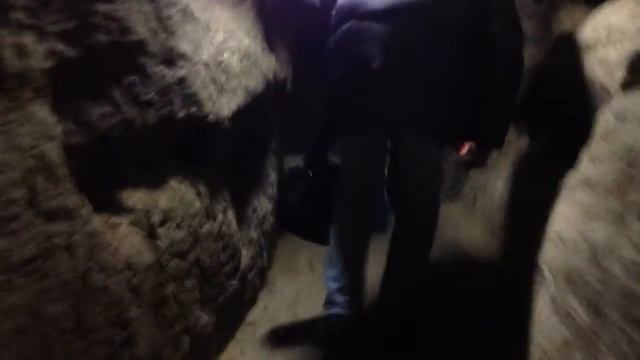 Хрустальная пещера (часть 1) смотреть онлайн