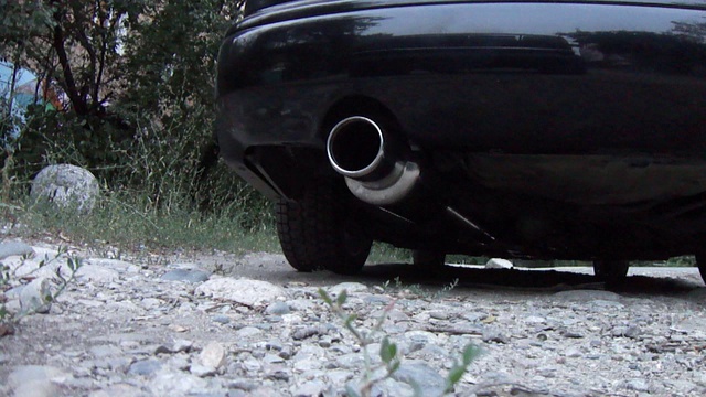 STI Genome смотреть онлайн