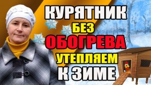 Как утеплить курятник без отопления к зиме.