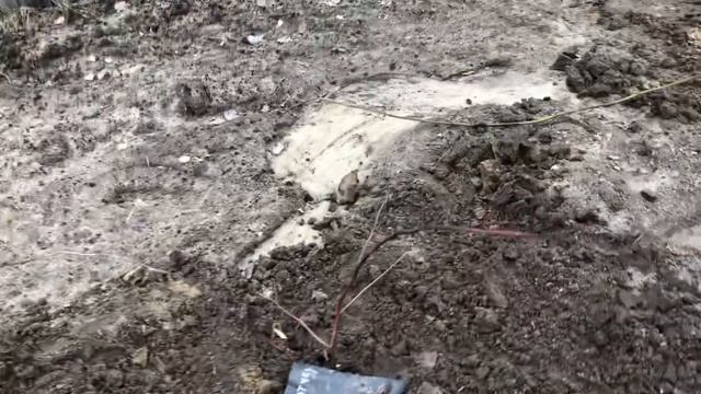 Жизнь прекрасна/дача/пересадка кустарников смотреть онлайн