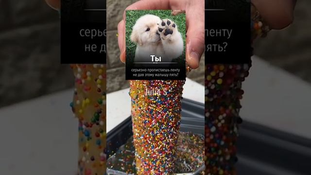 Суровые запреты в Северной Корее смотреть онлайн