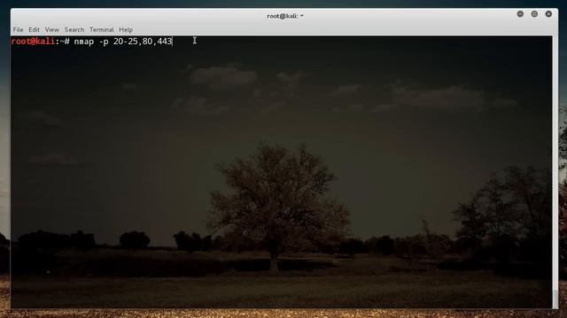 Nmap Tutorial for Beginners - 4 - More Port Scanning Options смотреть онлайн
