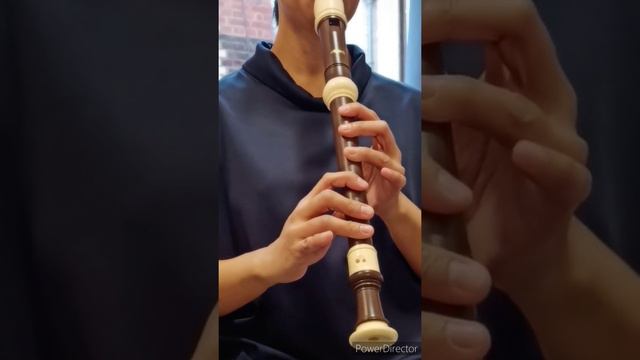 "Wiegenlied" ("Lullaby"; "Cradle Song") - Flute Recorder Cover (ALTO) смотреть онлайн