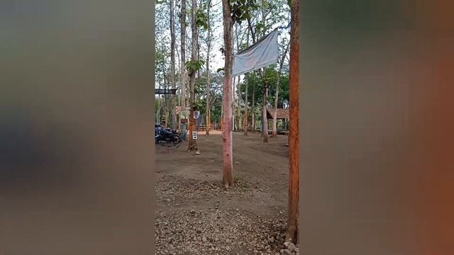 Restaurant in the middle of teak forest. On the island of Java. смотреть онлайн