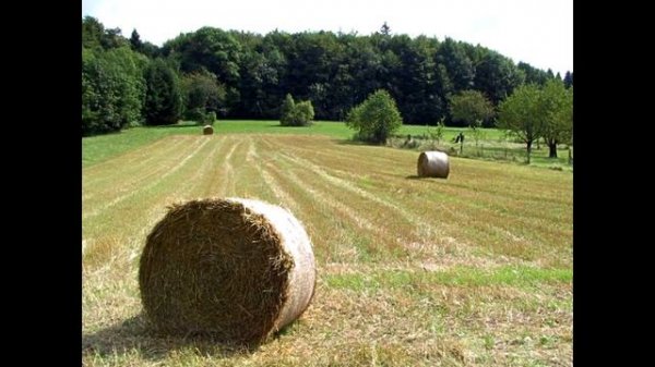 Gerhard Richter - Герхард Рихтер - Подборка картин под музыку (RUS/ENG)