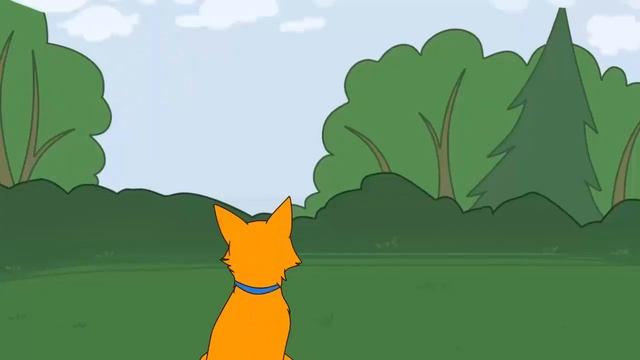 CatWar | Почему коты попадают в Звёздное племя?