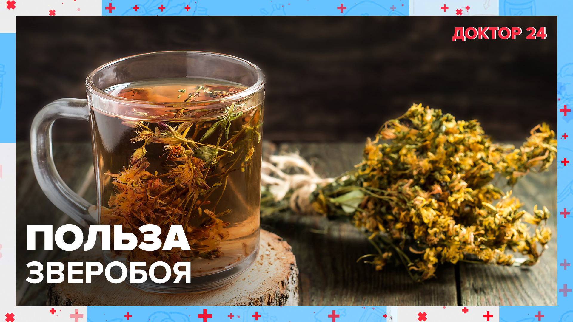 Чем полезен ЗВЕРОБОЙ? | Доктор 24