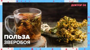 Чем полезен ЗВЕРОБОЙ? | Доктор 24